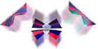Revolution Kites