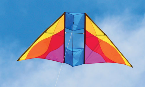 Mesa Delta Conyne Kite by Into the Wind Kites