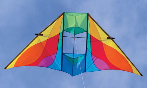 Rocky Mountain Delta Conyne Kite by Into the Wind Kites
