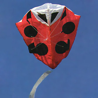 New Tech Ladybug Parafoil Kite