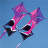 New Tech Wayfarer Box Kite