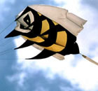 Single Line Parafoil Kite