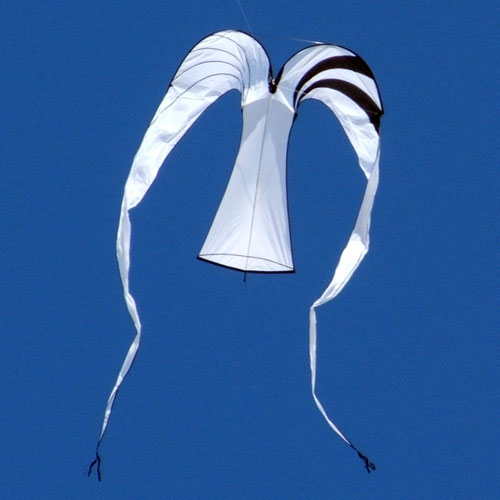 Premier Angel Kite