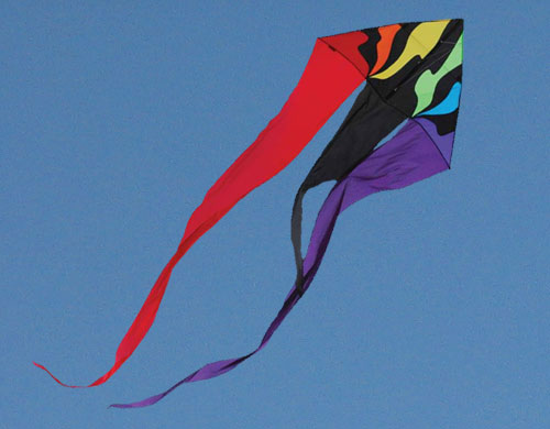Premier Flo-Tail Delta Kite
