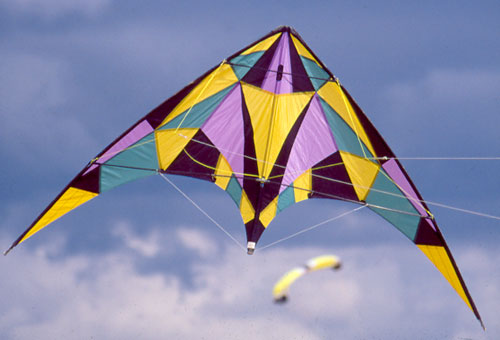 Progressive Line Voodoo Stunt Kite
