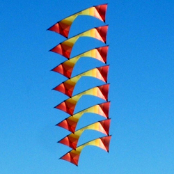 Revolution Kite Flying
