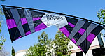 Rev Barresi - Purple / Black