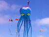 Octopus Kite Flying