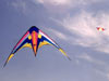 Scraps kite by Alan Brooks