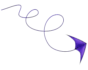 Gomberg Ribbon Tail