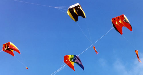 Sutton Flow Form Kites