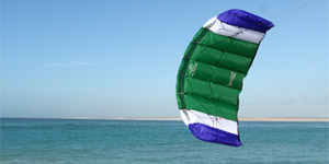 Flying the Flexifoil Buzz Parafoil Kite