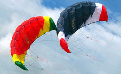 Sting Power Kite by Flexifoil