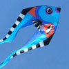 Fish Pyro Delta Kite