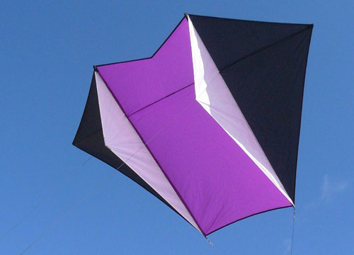 Gomberg Fled Sled Kite