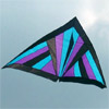 Shazm Delta Kite