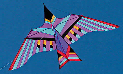 Into the Wind Cloud Bird Kite