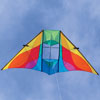 Into the Wind Rocky Mountain Delta Conyne Kite