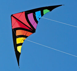 Details about   Kite Stunt Kites Outdoor Hobbies Sports Flight in Wind Speeds of 10 to 40km/h. 