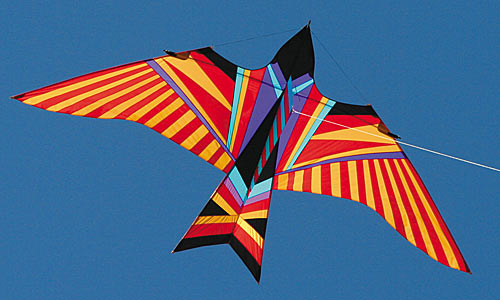 Into the Wind Sky Bird Kite