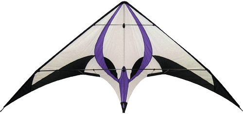 Into the Wind Spectre Stunt Kite