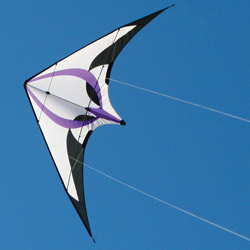 Spectre Low Wind Stunt Kite by Into the Wind