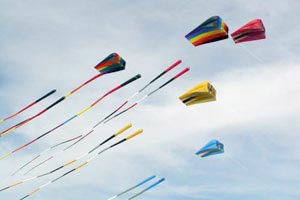 Jordan Airform Parafoil Kites