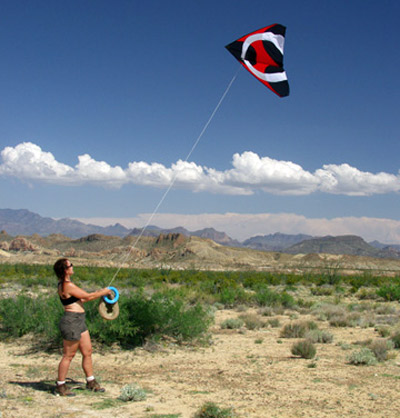 Ascension Delta Kite by New Tech