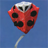 New Tech Ladybug Parafoil Kite by Martin Lester