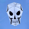 New Tech Skull Kite