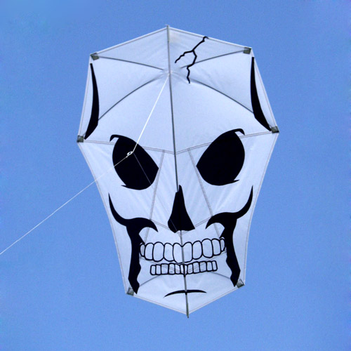 New Tech Skull Kite by Martin Lester