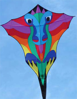 Premier Diamond Dragon Kite