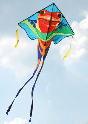Premier Jumbo Easy Flyer Delta Kite