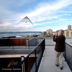 Flying the Prism 3D Kite