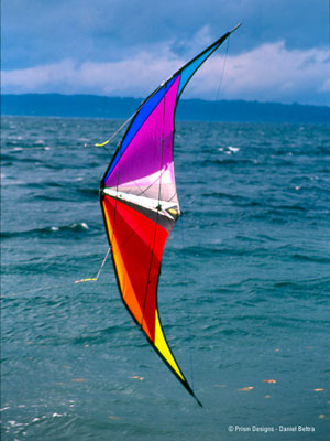 Prism Alien Freestyle Trick Kite