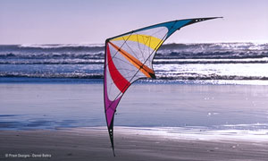 Prism Elixir Freestyle Trick Kite