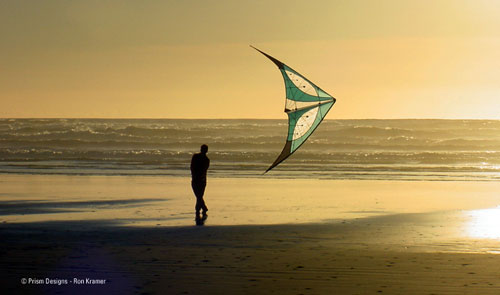 The Prism Illusion Stunt Kite in Flight