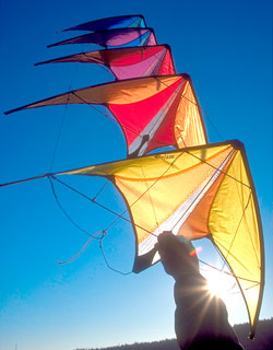 Prism Micron Stunt Kite Stack of Five Kites