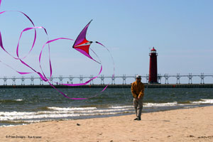 Prism Micron Stunt Kite
