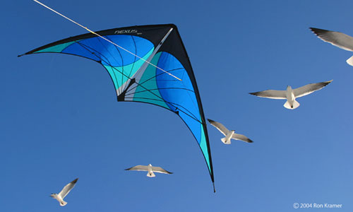 Prism Nexus Sport Kite