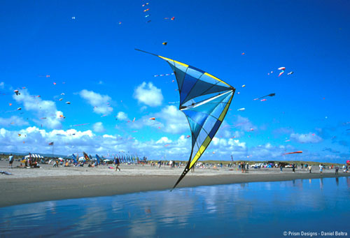 Flying the Prism Prophecy at a Kite Festival