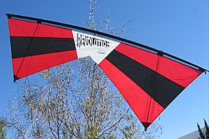 Revolution EXP Kite