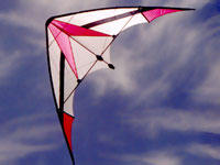 Stunt Kite Picture Gallery