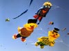 Sesame Street Kites (Bert, Ernie and Super Grover)