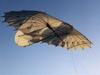 Lilienthal Glider Kite