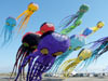 A group os octopus kites.