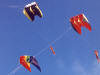 Parafoil Kites