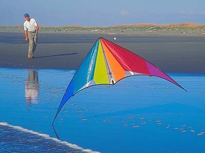 fanatic stunt kites kite