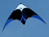 Flying Wings Icon
